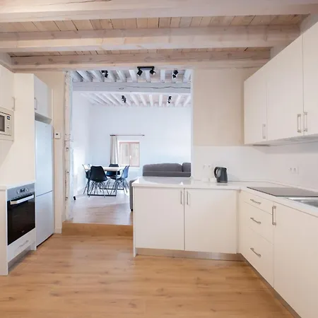 Appartement Tandem Catedral Burgo